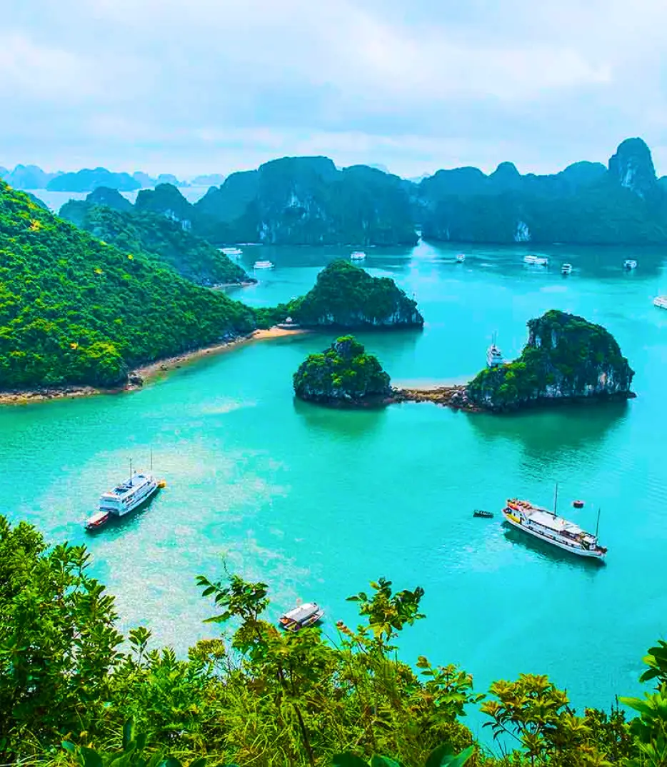 cruise Holidays