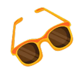 sunglass